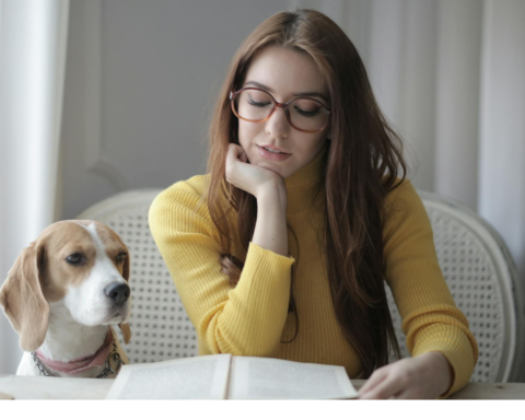 МОН схвалило програму Гуманна освіта та волонтерство про турботливе ставлення до тварин в українських школах