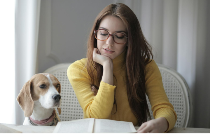 МОН схвалило програму Гуманна освіта та волонтерство про турботливе ставлення до тварин в українських школах