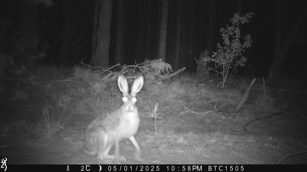 «Чорнобиль. Обʼєкт укриття». В Українському Домі відбудеться виставка до 40-річчя аварії на ЧАЕС 2 «Чорнобиль. Обʼєкт укриття». В Українському Домі відбудеться виставка до 40-річчя аварії на ЧАЕС