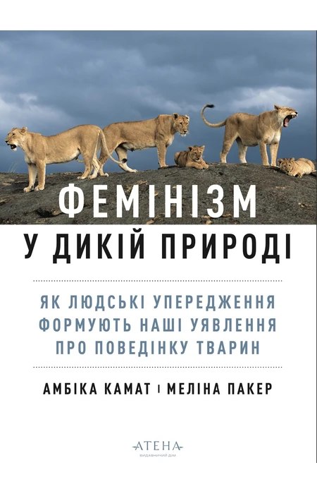 Від особистих історій до наукових праць: 22 книжкові новинки, які варті вашої уваги