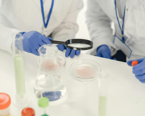 Дніпровський апеляційний суд залишив ембріони Анастасії Кузьменко