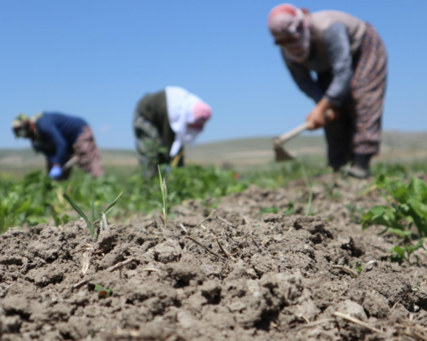 Мінсільгосп США заблокував призначення жінок у соєву раду: на їхні місця призначили чоловіків