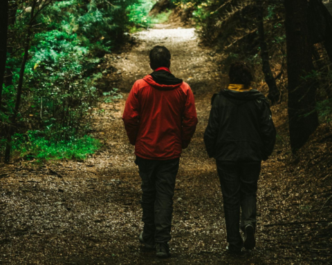 У Києві судитимуть чоловіка, який зґвалтував дитину у парку