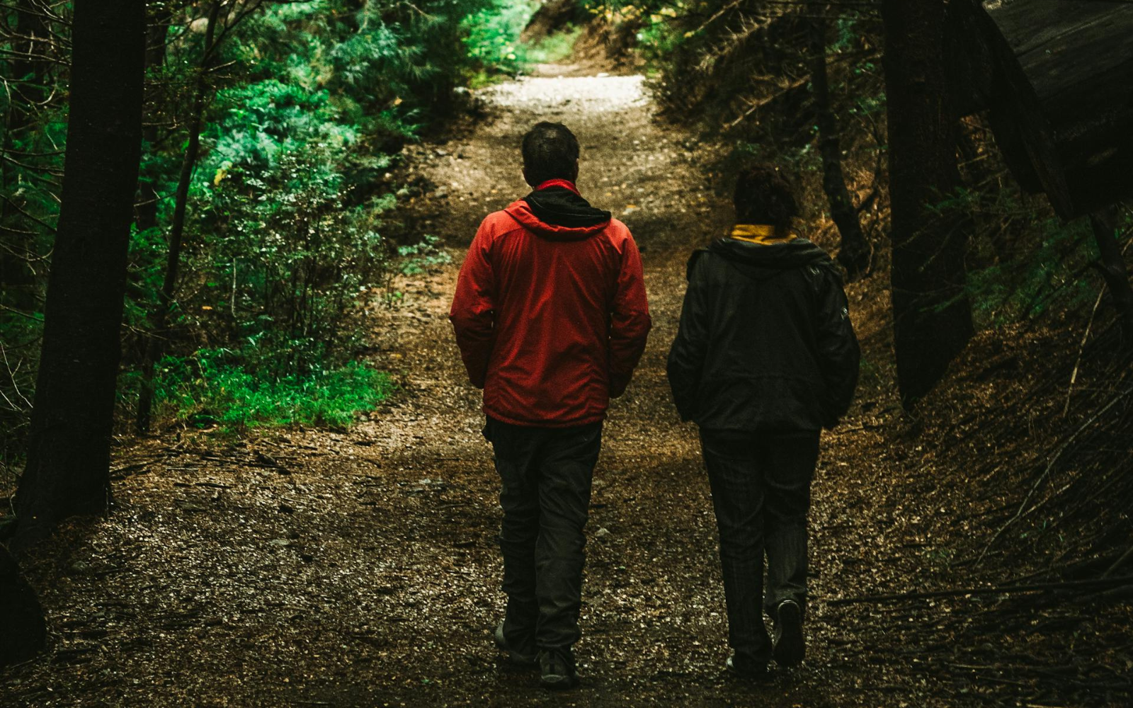 У Києві судитимуть чоловіка, який зґвалтував дитину у парку