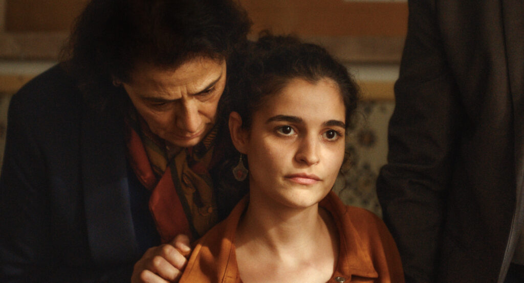 SUNNY BUNNY — 2026: Оголошено програму міжнародного конкурсу та фільм-відкриття