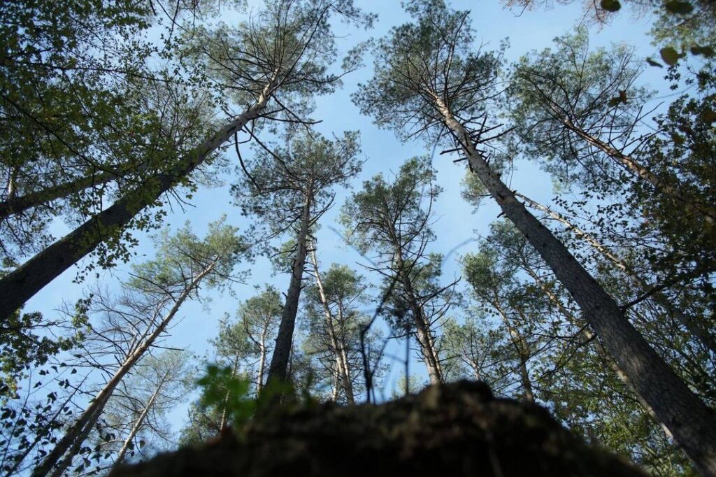 «Це історія про те, як любити людей, коли розумієш, що все може зникнути». Марися Нікітюк про свій новий фільм «Ной» 7 «Це історія про те, як любити людей, коли розумієш, що все може зникнути». Марися Нікітюк про свій новий фільм «Ной»