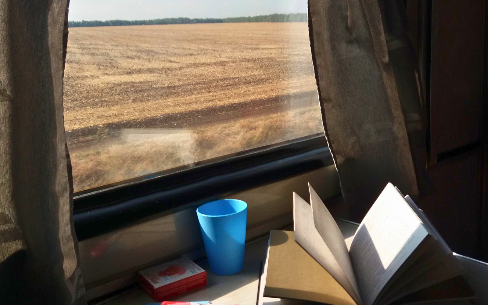 Укрзалізниця додала можливість замовляти книжки під час купівлі квитка