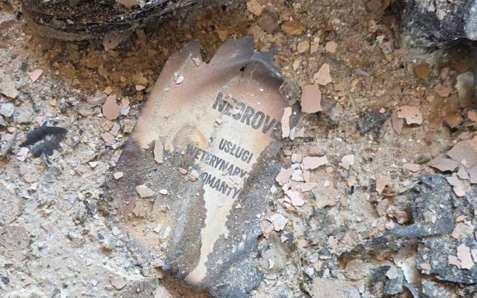 Польська письменниця Йоанна В. Ґайзлер передала гонорари видавництву «Жорж» після удару по Харкову