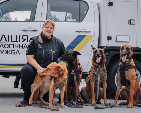 Історія журналістки Катерини Бєляєвої, яка стала кінологинею