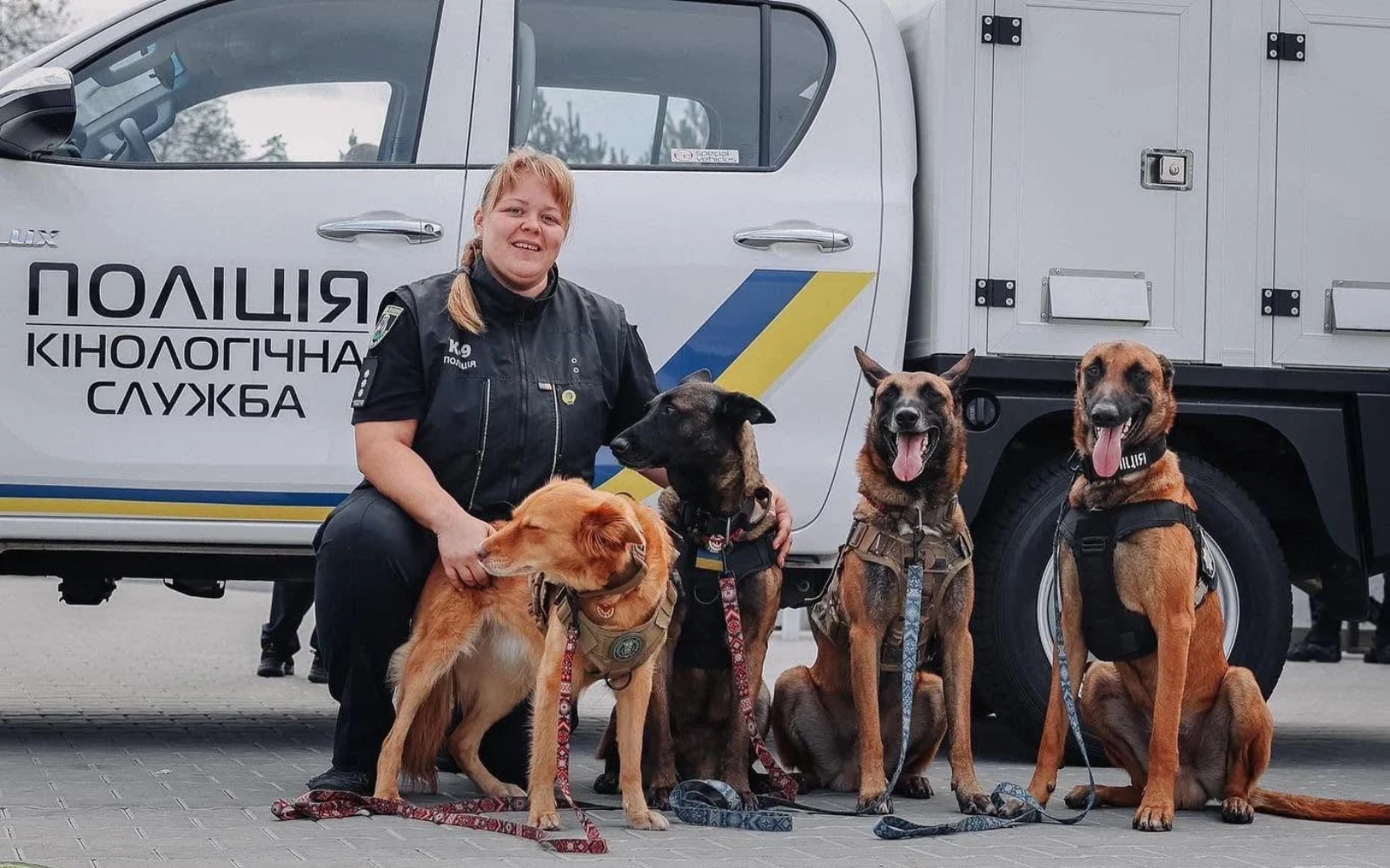 Історія журналістки Катерини Бєляєвої, яка стала кінологинею